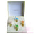L'air Du Temp by Nina Ricci 4 pieces mini colored birds giftset